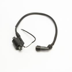 Катушка зажигания 4Т со свечным колпачком в сборе 172FMM-3A Avantis Enduro