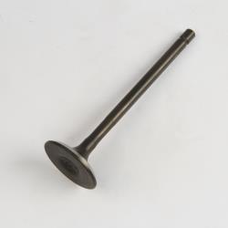 Клапан выпускной ZS169FMM