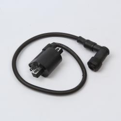 Катушка зажигания Avantis A6