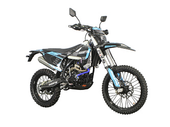 Мотоцикл Avantis Enduro 250 CBS PRO Exclusive (ZS172FMM-3A) ARS ПТС