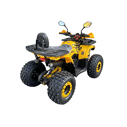 Квадроцикл R-moto Lion 125 R