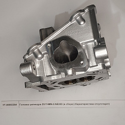 Головка цилиндра ZS174MN-5 NB300