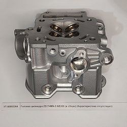 Головка цилиндра ZS174MN-5 NB300