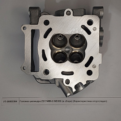 Головка цилиндра ZS174MN-5 NB300