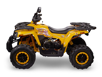 Квадроцикл Avantis Hunter 200 NEW BIG Basic (баланс. вал) 2025 (200 см3)