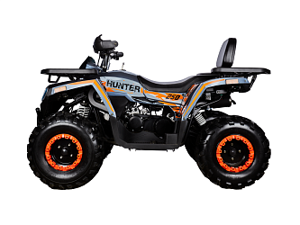 Квадроцикл Avantis Hunter 250 BIG NEW Basic (баланс. вал) (250 см3)