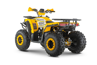 Квадроцикл WELS Thunder Trail 200