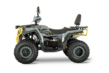 Квадроцикл Avantis Hammer 280L Lux ПТС