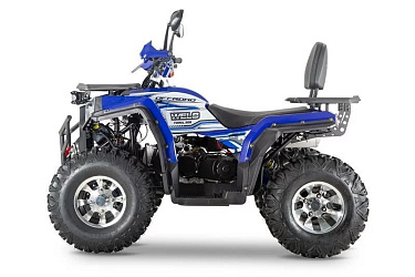 Квадроцикл WELS Thunder Trail 200 PRO