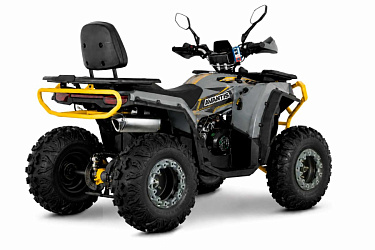 Квадроцикл Avantis Hammer 280L Lux ПТС