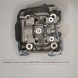 Головка цилиндра ZS174MN-5 NB300