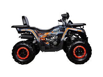 Квадроцикл Avantis Hunter 250 BIG NEW Basic (баланс. вал) (250 см3)