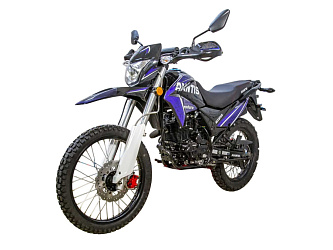 Мотоцикл Avantis MT250 (PR250/172FMM) ПТC