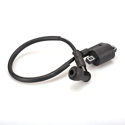 Катушка зажигания Avantis Tourist