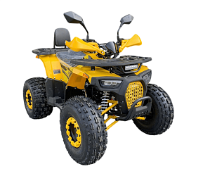 Квадроцикл R-moto Lion 125 R