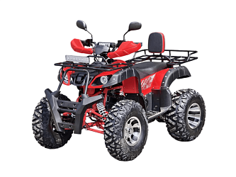Квадроцикл R-moto Lion 200 Lite