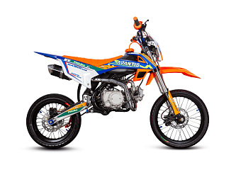Питбайк Avantis RX 150E scat Lux 17/14