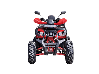 Квадроцикл R-moto Lion 200LD