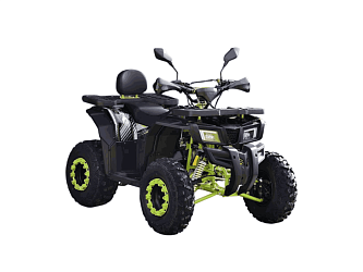 Квадроцикл R-moto Lion 200Х