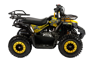 Детский квадроцикл ATV Classic mini 4T