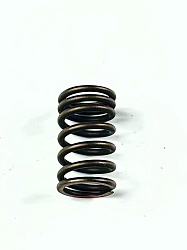 Пружина клапана внешняя 170MM TwinCam