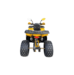 Квадроцикл R-moto Lion 125 R