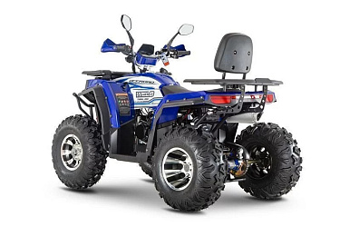 Квадроцикл WELS Thunder Trail 200 PRO