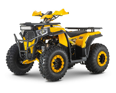 Квадроцикл ATV WELS Thunder Trail 200