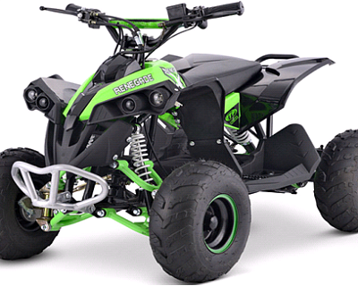Квадроцикл ATV Yacota RENEGADE mini 110